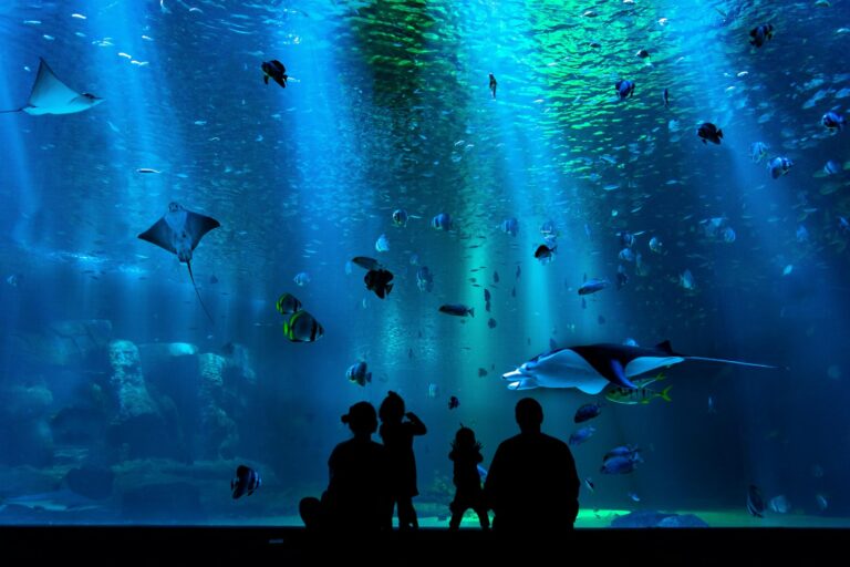Picture of Mastering Aquatic Life Support Systems: 10 Essentials for 2026 🌊 ...