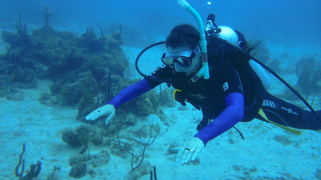 A diver drifts past coral patch reefs. by Aquarium Music a man in a scuba suit diving in the ocean