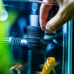 Featured image for How to Troubleshoot 6 Common Fish Tank Problems 2025