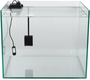 Featured image for How to Introduce New Fish to Your Tank Without Stress or Disease 2025