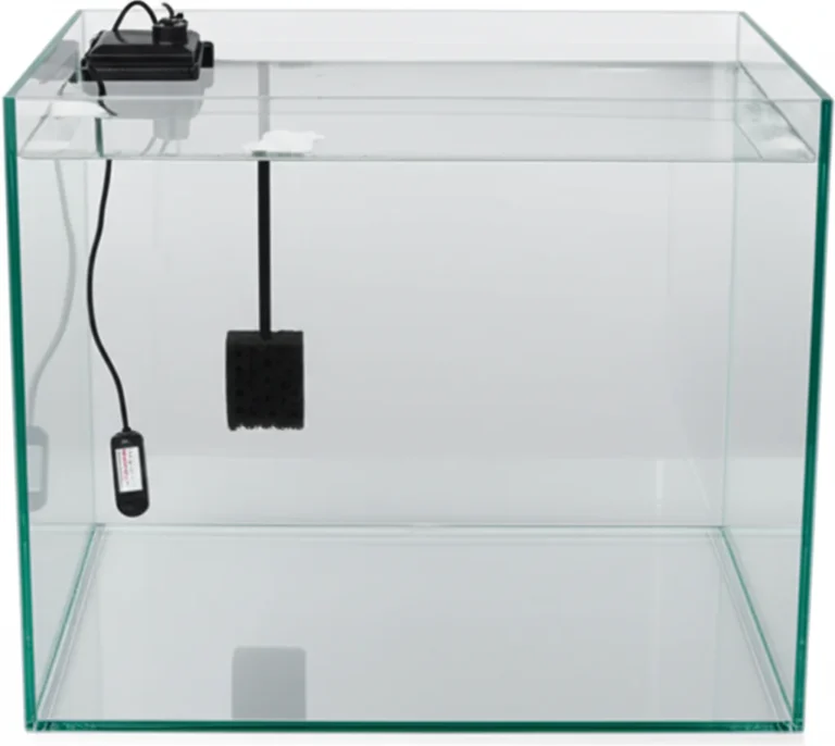 Featured image for How to Introduce New Fish to Your Tank Without Stress or Disease 2025