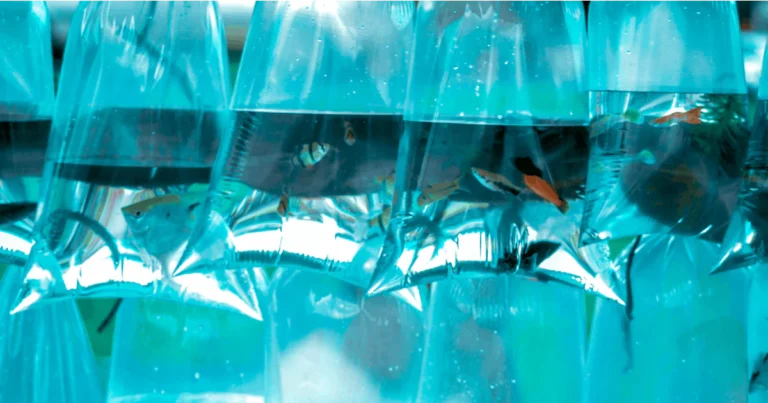 Featured image for 14 Best Aquarium Water Testing Kits to Keep Fish Happy in 2025