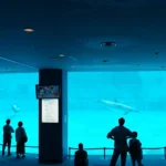 Featured image for Top 10 Aquarium Controllers and Monitors You Need in 2025