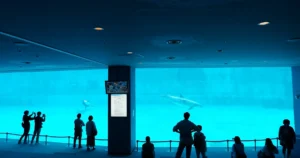 Featured image for Top 10 Aquarium Controllers and Monitors You Need in 2025