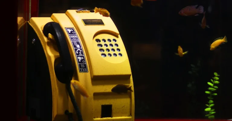 Featured image for 12 Proven Aquarium Algae Control Hacks You Need in 2026