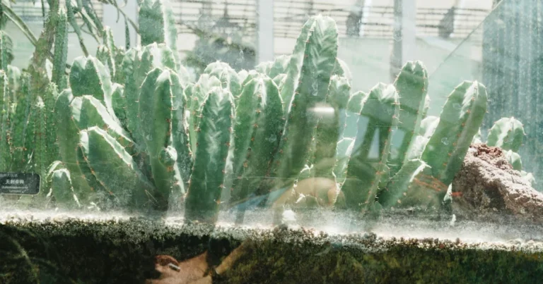 Featured image for How Do I Choose the Right Size Fish Tank for My Space 2026