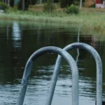 Featured image for How Do I Cycle a New Fish Tank 7 Expert Steps to Success 2026