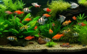 Featured image for Beginners Guide to Aquarium Keeping 15 Expert Tips for 2026