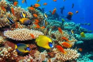 Featured image for Dive Into 25 Must-Have Marine Aquarium Livestock for 2026