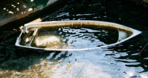 Featured image for Why Regular Water Changes Are Vital for Your Fish Tank 2026